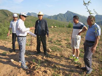 河北井陘開展農(nóng)業(yè)專項資金審計，助力農(nóng)業(yè)開發(fā)提質增效