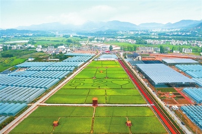 江西贛州 深耕富硒沃土，繪就現(xiàn)代農(nóng)業(yè)新圖景